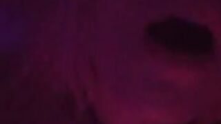 Fun for a day (Video 185)