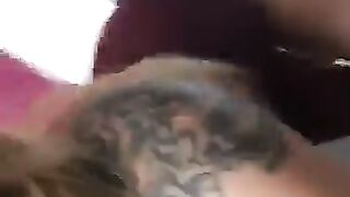 Fun for a day (Video 76)