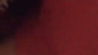 Fun for a day (Video 59)