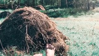 SolaZola Onlyfans (Video 41)