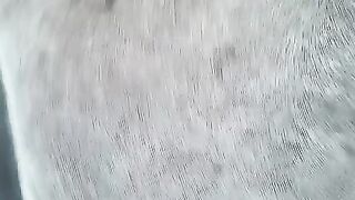 Celeste Schmeckle (Video 7)