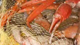 Misscindyy - Leaked (Video 112)