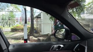 S.F OF - British Student