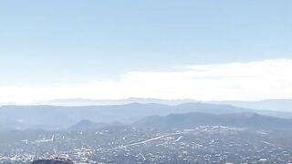 Stellasedona
