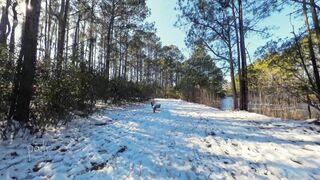 AmWednesday - Snow Walk