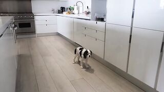 Ashley Tervort leaks (Video 7)