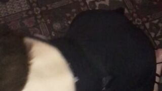 Wannabmaya (Video 1)