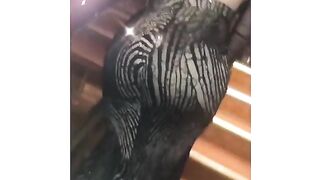 Amber Hayes (Video 86)