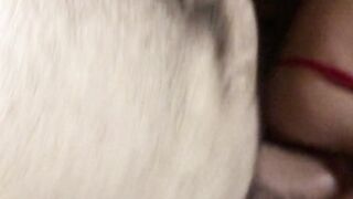 puravidacost (Video 134)