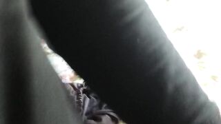 puravidacost (Video 23)