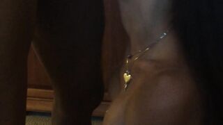 puravidacost (Video 97)