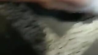 puravidacost (Video 92)