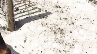 EVA LOVIA ~ fallinginlovia (Video 55)