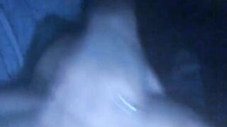 Sparrow (Amarax) Grace OF (Video 15)