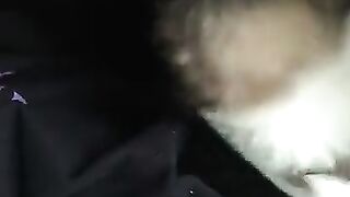 Erin Ashford Onlyfans (Video 19)