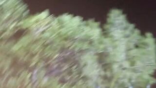 Themilaangel Missionary Sex Tape Video Leaked