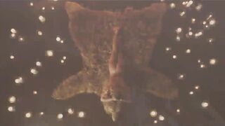 Sydney Sweeney - Euphoria Cowgirl