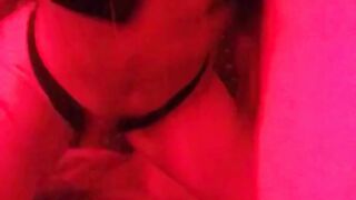 Takeomeow Poison Ivy (Video 25)