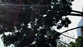 Ana Cherie (Video 9)