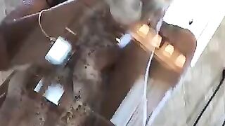 Ana Cherie 11 videos (Video 3)