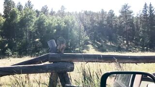 freckledred dildo in nature