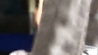 Photos Videos (Video 38)