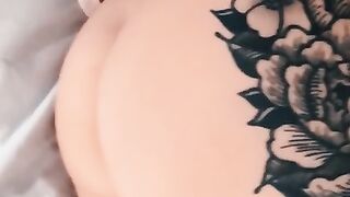 Entire Collection (Video 59)