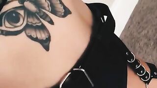 Entire Collection (Video 36)