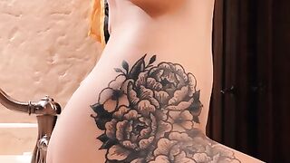 Entire Collection (Video 16)