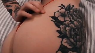 Entire Collection (Video 2)